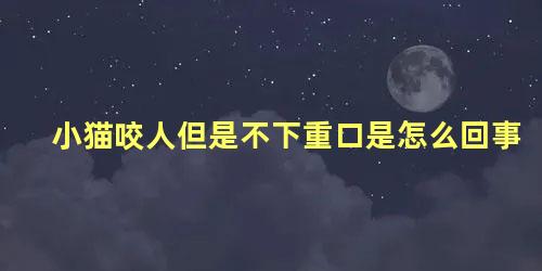 小猫咬人但是不下重口是怎么回事
