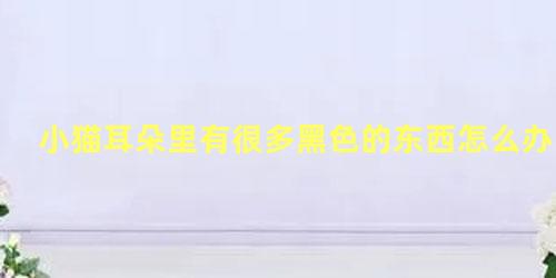 小猫耳朵里有很多黑色的东西怎么办
