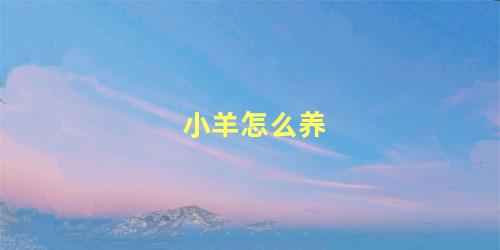 小羊怎么养
