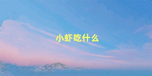 小虾吃什么