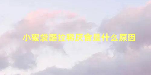 小蜜袋鼯拉稀厌食是什么原因