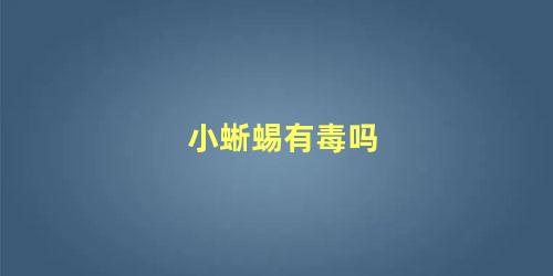 小蜥蜴有毒吗