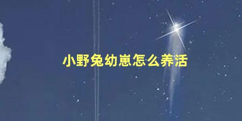 小野兔幼崽怎么养活