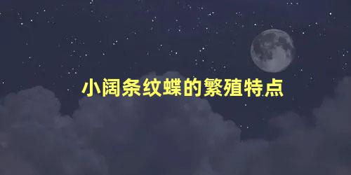 小阔条纹蝶的繁殖特点