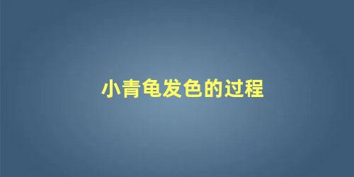 小青龟发色的过程
