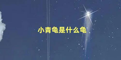 小青龟是什么龟