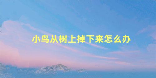 小鸟从树上掉下来怎么办