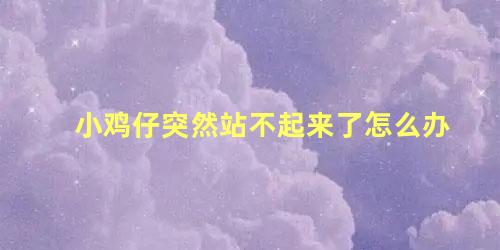 小鸡仔突然站不起来了怎么办