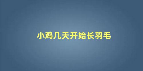 小鸡几天开始长羽毛