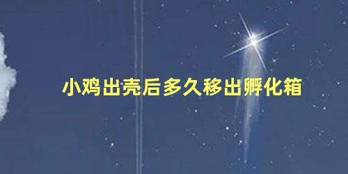 小鸡出壳后多久移出孵化箱