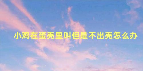小鸡在蛋壳里叫但是不出壳怎么办