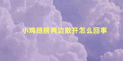 小鸡翅膀两边散开怎么回事