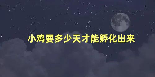 小鸡要多少天才能孵化出来