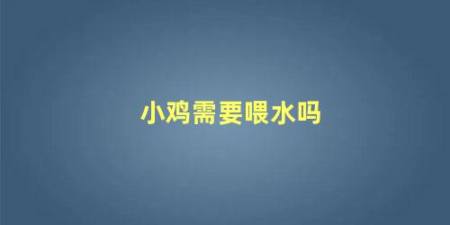 小鸡需要喂水吗