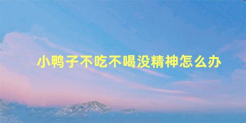 小鸭子不吃不喝没精神怎么办