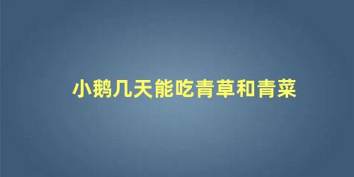 小鹅几天能吃青草和青菜