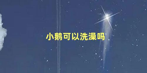小鹅可以洗澡吗