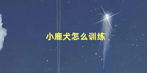 小鹿犬怎么训练