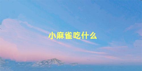 小麻雀吃什么