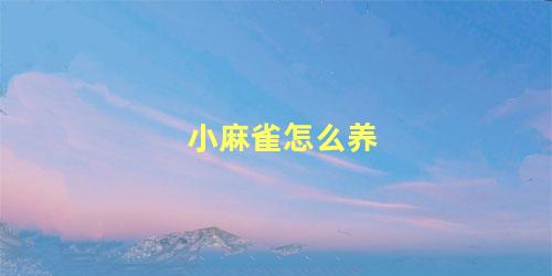 小麻雀怎么养