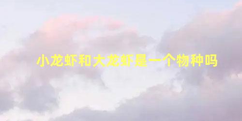小龙虾和大龙虾是一个物种吗