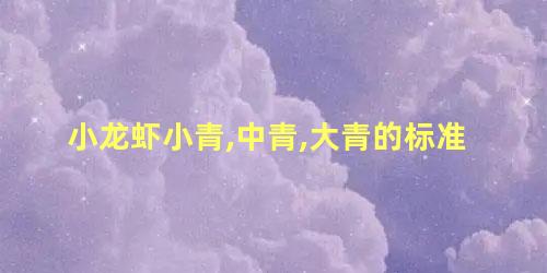 小龙虾小青,中青,大青的标准