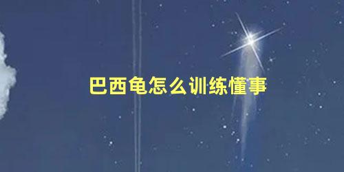 巴西龟怎么训练懂事