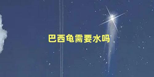 巴西龟需要水吗