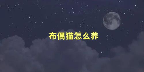 布偶猫怎么养