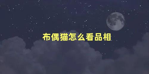 布偶猫怎么看品相