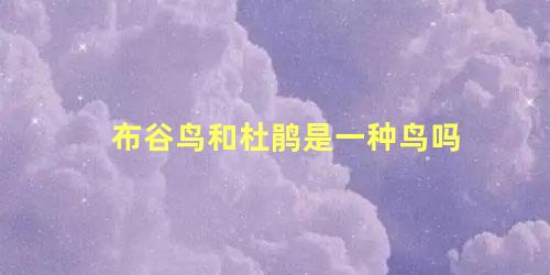 布谷鸟和杜鹃是一种鸟吗