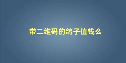 带二维码的鸽子值钱么