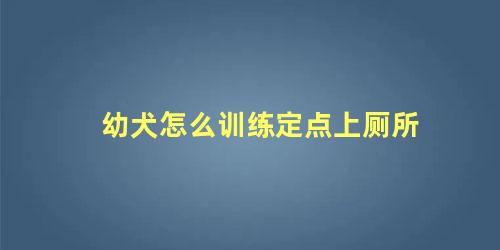 幼犬怎么训练定点上厕所
