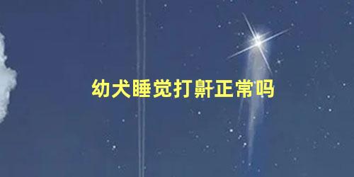 幼犬睡觉打鼾正常吗