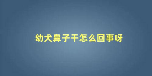 幼犬鼻子干怎么回事呀
