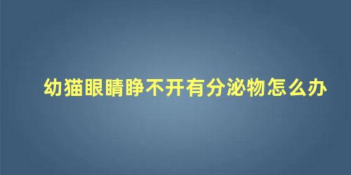 幼猫眼睛睁不开有分泌物怎么办