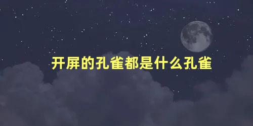 开屏的孔雀都是什么孔雀