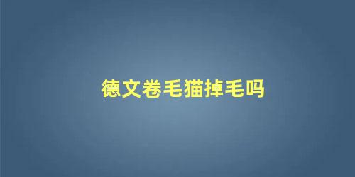 德文卷毛猫掉毛吗