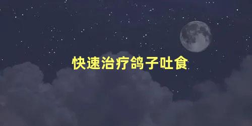 快速治疗鸽子吐食