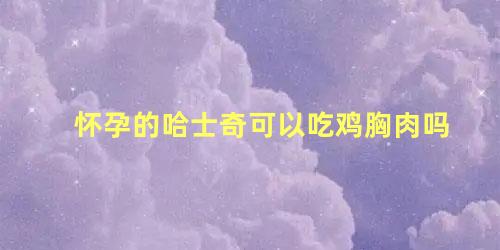 怀孕的哈士奇可以吃鸡胸肉吗