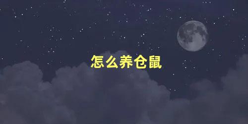怎么养仓鼠