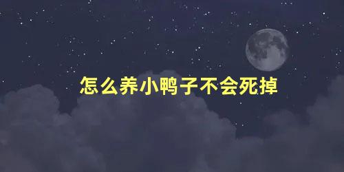 怎么养小鸭子不会死掉