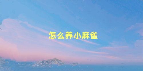 怎么养小麻雀