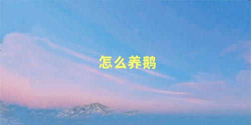 怎么养鹅
