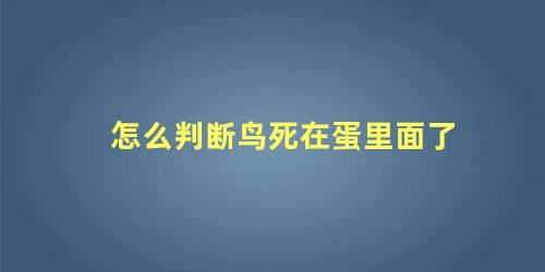 怎么判断鸟死在蛋里面了