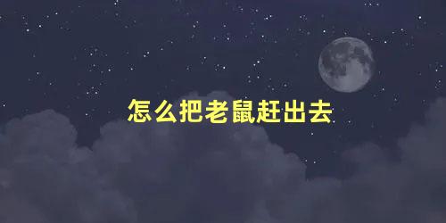 怎么把老鼠赶出去