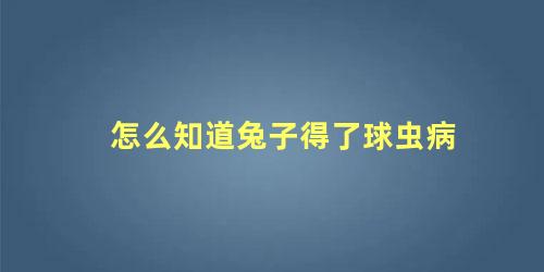 怎么知道兔子得了球虫病