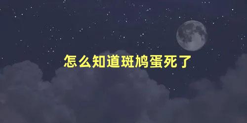 怎么知道斑鸠蛋死了