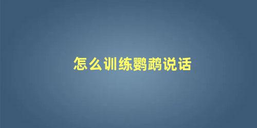 怎么训练鹦鹉说话