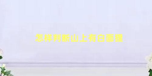 怎样判断山上有白面狸